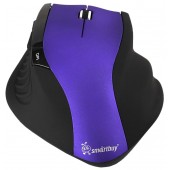 SmartBuy EZ Work Pro Wireless Optical Mouse <SBM-613AG-PK> (RTL) USB 6btn+Roll, беспроводная