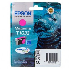 Картридж Epson C13T10334A10