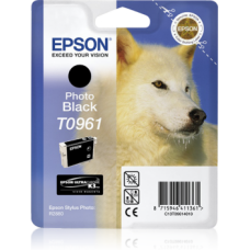 Картридж Epson C13T09674010