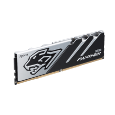 Оперативная память DDR-5 16GB PC-51200 Apacer Panther AH5U16G64C5527BAA-1