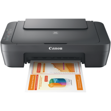 МФУ струйное цветное Canon MG2541S